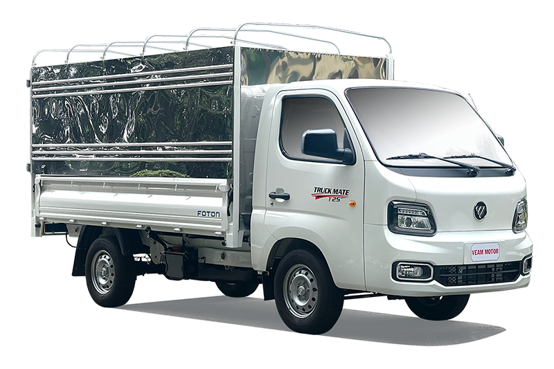 Xe tải Foton T25 tải trọng 990kg